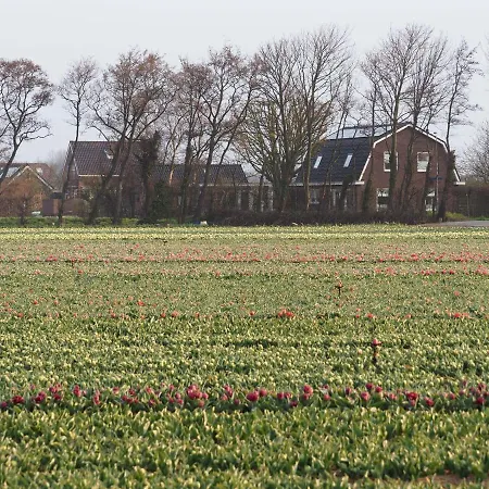 Bed & Breakfast Lowlander