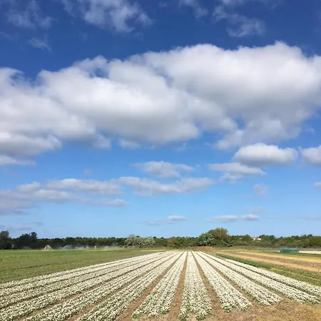 Lowlander فندق مبيت وإفطار هيمسكيرك