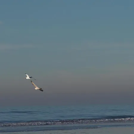 Bed & Breakfast Lowlander Heemskerk