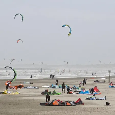 Lowlander هيمسكيرك