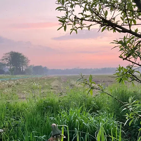 فندق مبيت وإفطار Lowlander