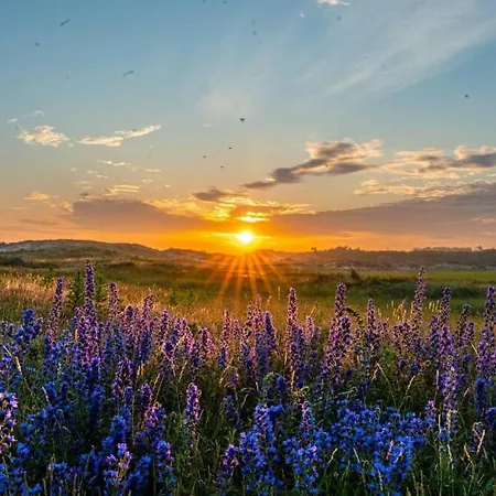 فندق مبيت وإفطار Lowlander