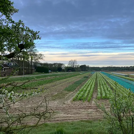 Lowlander Bed & Breakfast Heemskerk