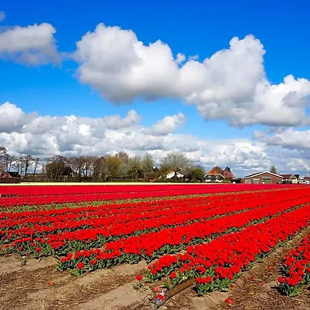 Lowlander Bed & Breakfast Heemskerk