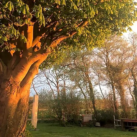 Bed & Breakfast Lowlander Heemskerk