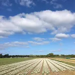 Lowlander Bed & Breakfast Heemskerk