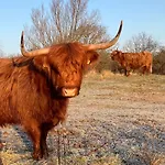 Bed & Breakfast Lowlander Heemskerk