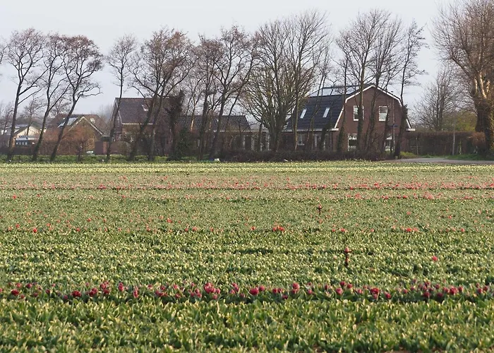 Oda ve Kahvaltı Lowlander