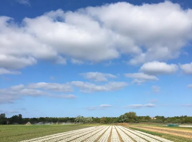 Lowlander Oda ve Kahvaltı Heemskerk