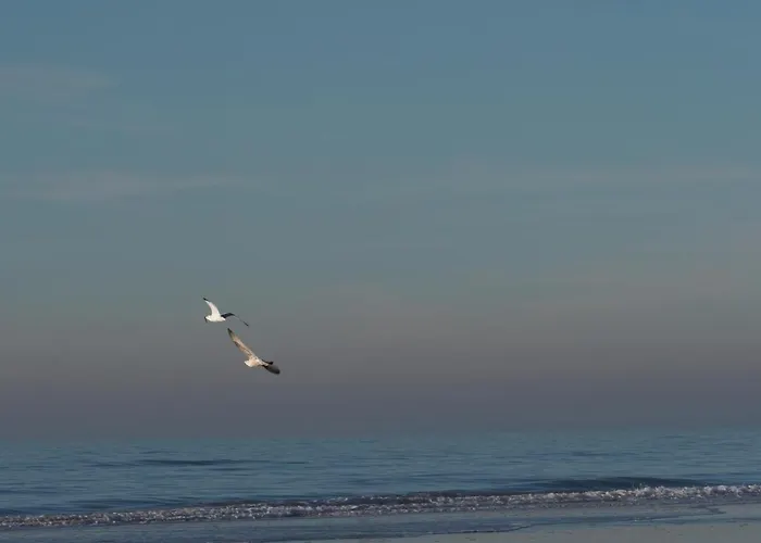 Oda ve Kahvaltı Lowlander Heemskerk