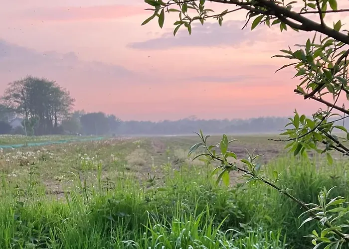 Oda ve Kahvaltı Lowlander