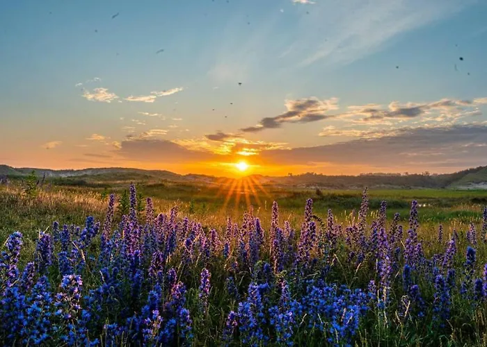 Oda ve Kahvaltı Lowlander