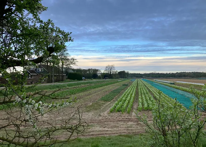 Lowlander Oda ve Kahvaltı Heemskerk